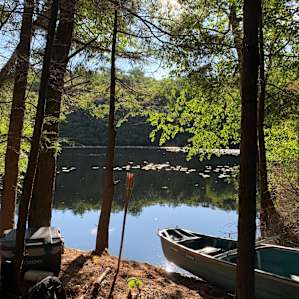 Camp Escape: The Island
