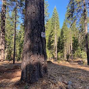 FourK Farms Tent Spot