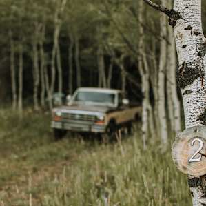 Numbered campsites