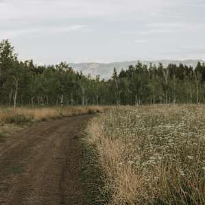 The path to the campsites.