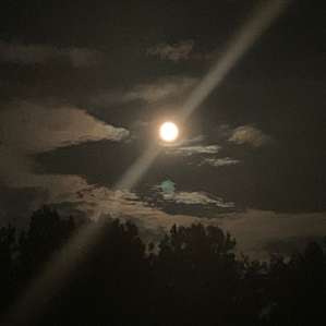 The brightly shining moon
