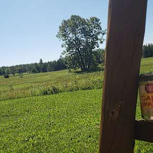 Meadows behind little cabin
