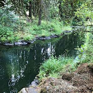 Epic swimming hole. You can do laps.