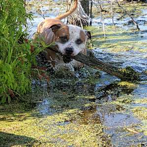 5 Secluded Acres on River