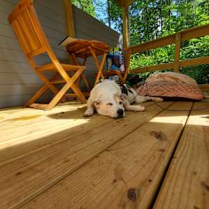 Hammock Haven at Panther Creek