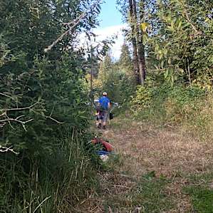 Path to river