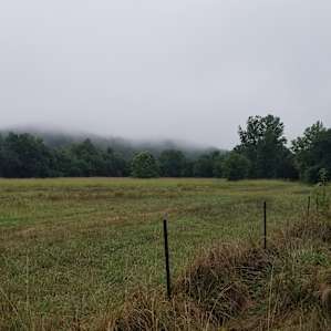 The view