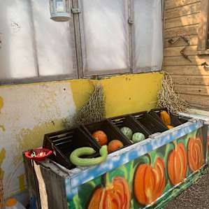 Veggie bins “take what you want, leave what you want”