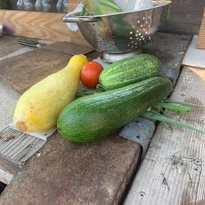Fresh veggies we took with us on the road, so good btw