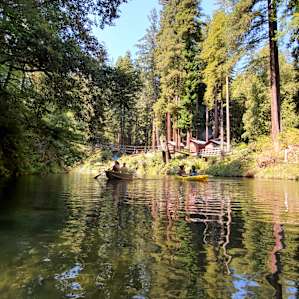 Camp Noyo- 9 Tent Sites