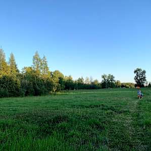 A path was mowed throughout the fields, so that you didn't have to walk through taller grass if you didn't want to.