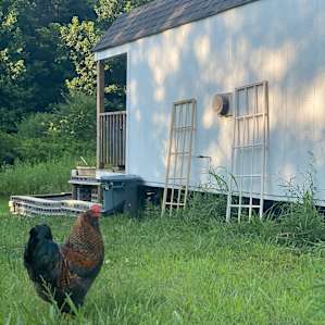 Farmstead Forest Tent Campsite (1)