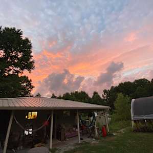 Farmstead Forest Tent Campsite (1)