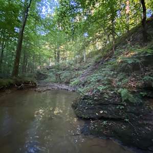 Natural Pool in the woods ❤️