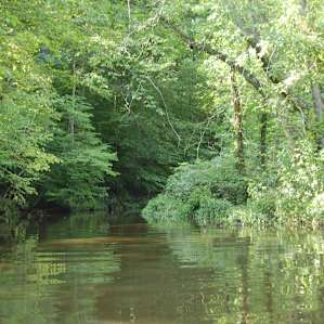 on the creek