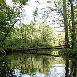 on the creek