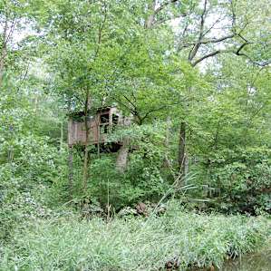 the treehouse, view from the creek