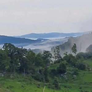 Fog trickling it's way down the mountains. It's crazy how the fast the fog would surround you then leave in an instance.