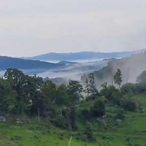 On top of the world in NW NC /Fog