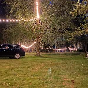 Creekside Glamping in a Bus
