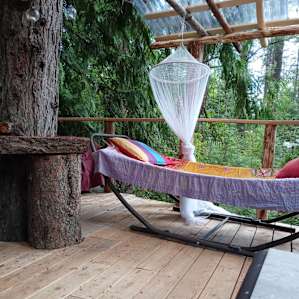 Flying Squirrel Tree House @ AWPW