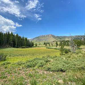 Nearby hike at Trapper's Lake.