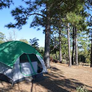 Yosemite Garden Camp Tent Site 1