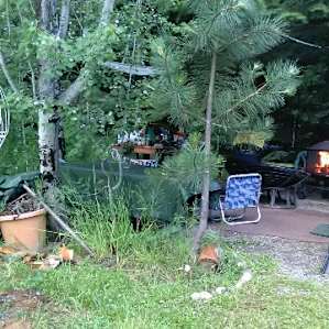 Aspen Camp is private, nestled behind a wall of trees. Nearby is the labyrinth, emanating its healing and magick.