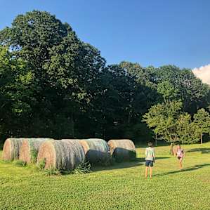 Selby Farm tent sites