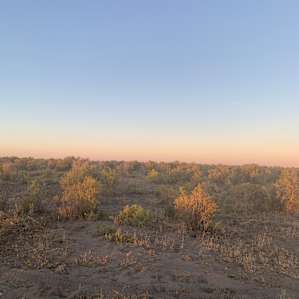 Oregon High Desert Retreat