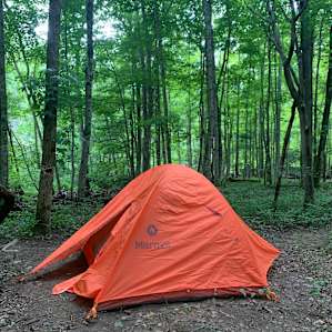 Tent site. Primitive, as expected, and it felt pretty backcountry.