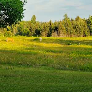 Someplace Else Camp