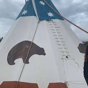 BEAR tipi