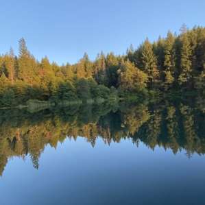 More reflection pictures, wish I could upload video of 360 degree reflections