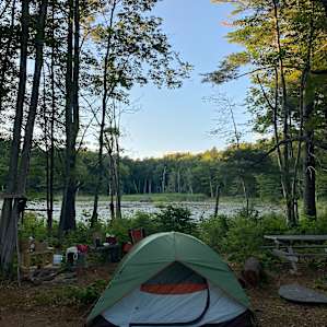 Camp pondside on organic berry farm