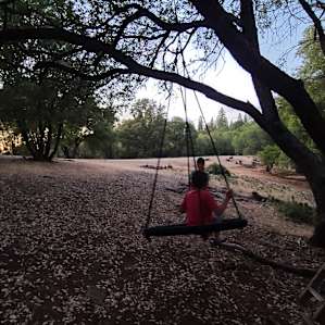 Glamping with a view