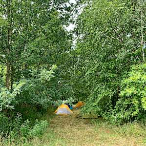 Tanglewood Escape camp or glamp