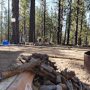 Holcomb Valley Ranch Campground
