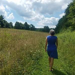 Gorgeous permaculture field walks