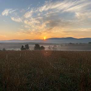 Upper Meadow