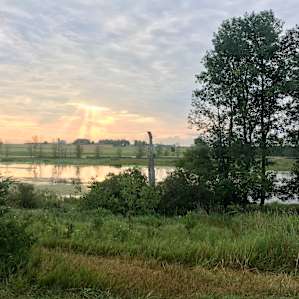 View from the campsite to the river
