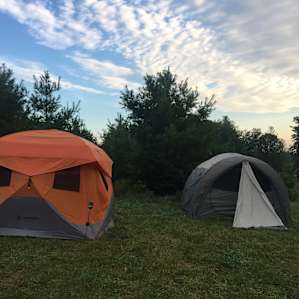 Space on the left side of the site for tents