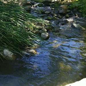 Stunning nature views and a river!