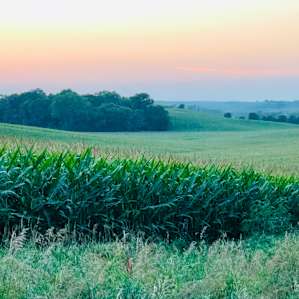 This is taken from the road that runs in front of the house.