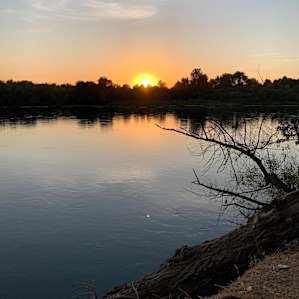Sunset swim in the Sacramento River