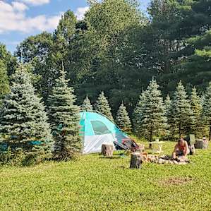 Pioneer Trails Tree Farm