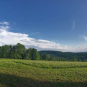 All three campsites provide a gorgeous panoramic view of the mountains and wildflowers along the meadow