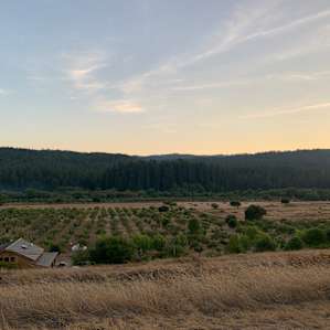 Camp is Home, at Poleeko Ranch