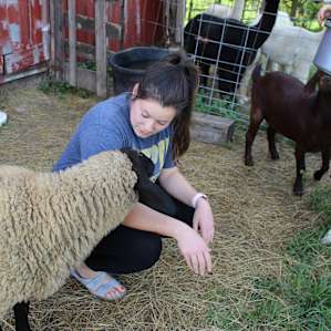 Heavenly Acres Farm Stay