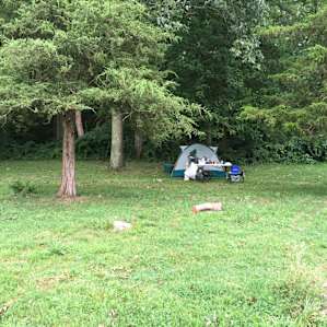 view of site 4 - only site with a few trees